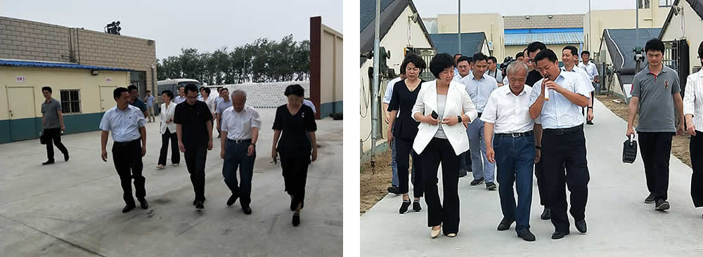 新聞=省委胥秘書長與省農(nóng)業(yè)農(nóng)村廳楊廳長一行及市、縣等領(lǐng)導(dǎo)，來我司視察01.jpg