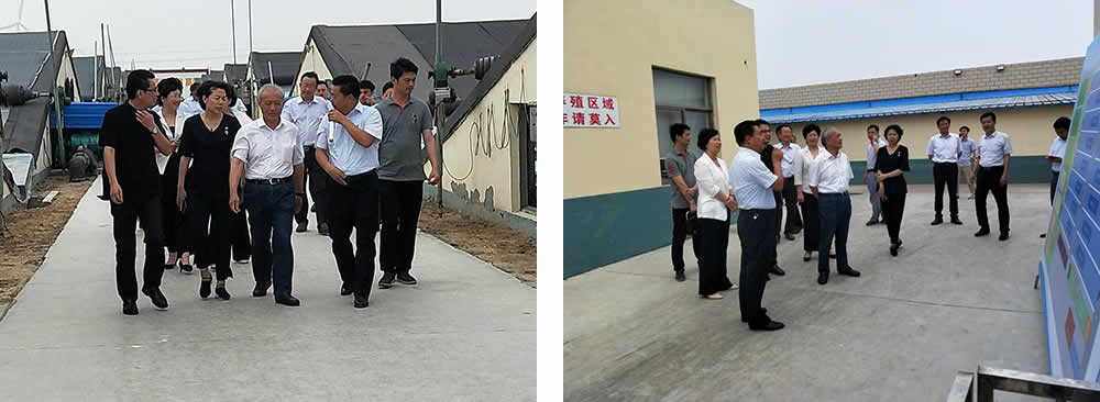 新聞=省委胥秘書長與省農(nóng)業(yè)農(nóng)村廳楊廳長一行及市、縣等領(lǐng)導(dǎo)，來我司視察02.jpg