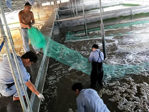 捕蝦現(xiàn)場(chǎng)01
