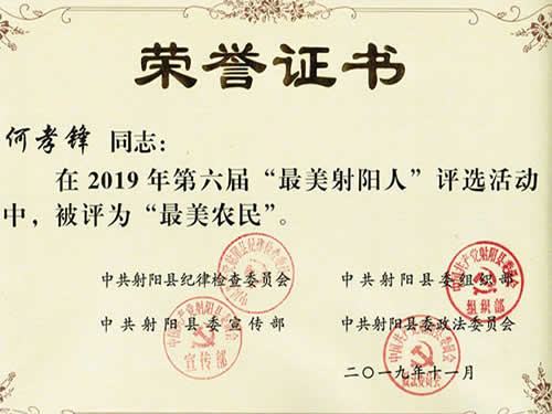 最美射陽人榮譽證書